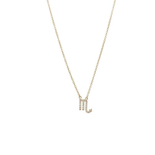 Silk & Steel Scorpio Necklace